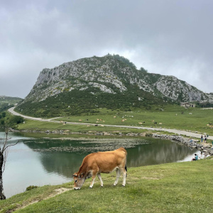 WhatsApp Image 2025-06-13 à 19.56.33_d72cb208