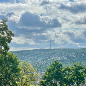 WhatsApp Image 2025-06-24 à 09.12.11_4207a051