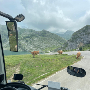 WhatsApp Image 2025-06-13 à 19.56.33_dca79b1d