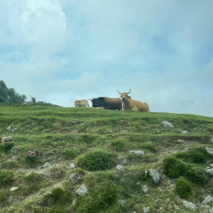 WhatsApp Image 2025-06-13 à 19.56.33_81610329